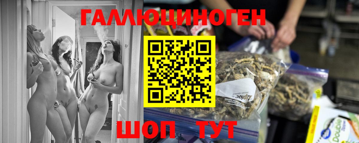 Галлюциногенные грибы MAGIC MUSHROOMS  Псилоцибиновые грибы Psilocybine cubensis  Вход с VPN  Луга 